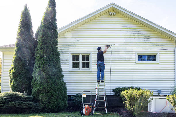 Best Roof Pressure Washing  in Bellerose Terrace, NY