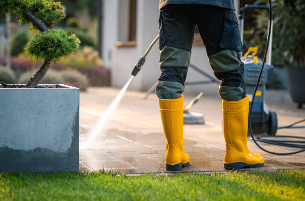 Best Deck Cleaning Services  in Bellerose Terrace, NY